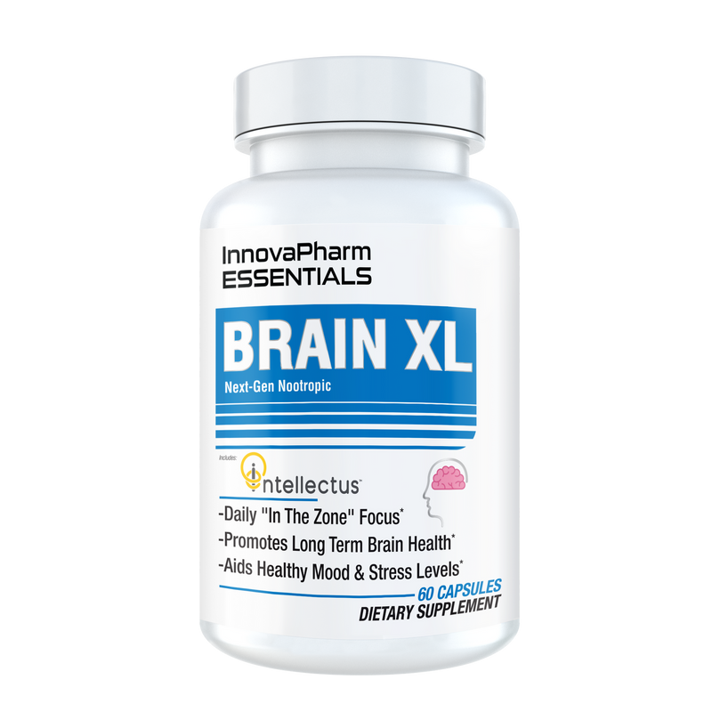 BRAIN XL