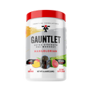 GAUNTLET PRE-WORKOUT