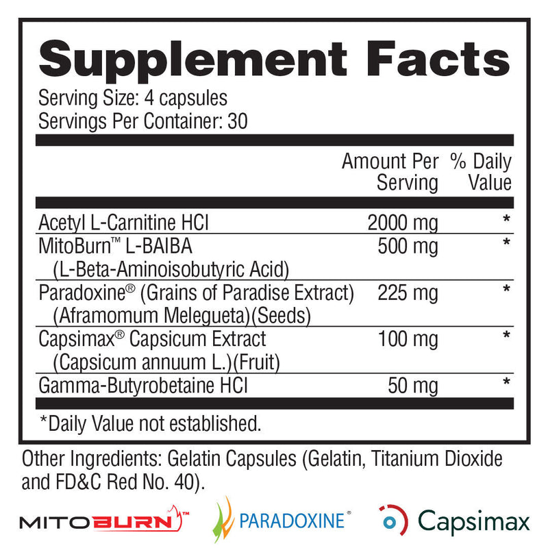 MOLOTOV - NON-STIM FAT BURNER & POWERFUL THERMOGENIC